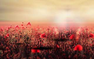 我只是点开云开体育页面，手机就出现异常提示，关键就在这里：5个快速避坑